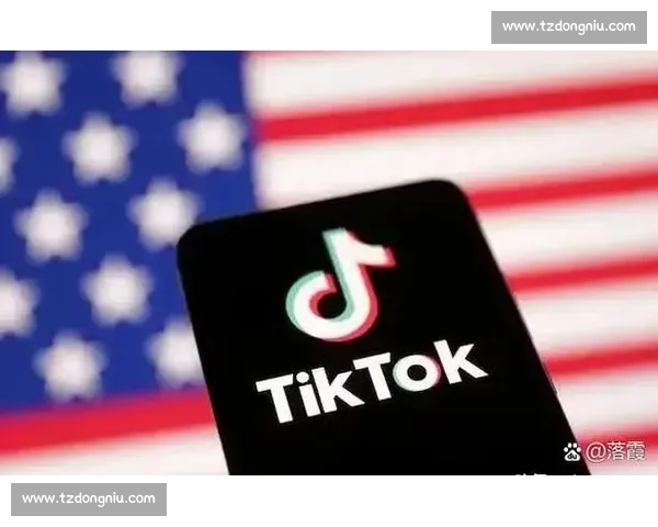 见招拆招，一拳定音：从博弈到决胜的制胜策略